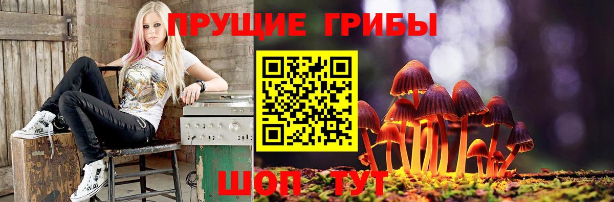 Галлюциногенные грибы Psilocybe  Вход с VPN  Сегежа  Псилоцибиновые грибы мухоморы 